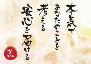 司法書士資格者求人 私たちと一緒に働きませんか 芝事務所 静岡清水の司法書士 相続 遺言 債務整理 設立 後見 女性